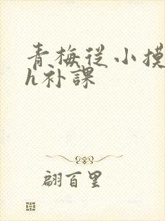 青梅从小摸到大h补课