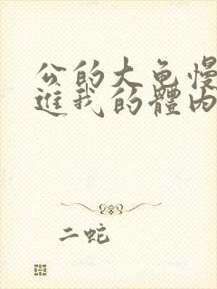 公的大龟慢慢挺进我的体内