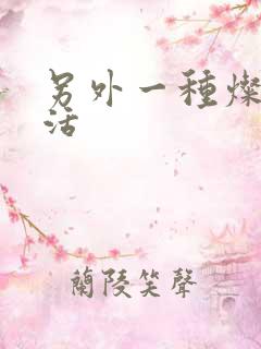 另外一种灿烂生活