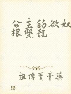 公主的欲奴h四根双龙