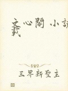 文心阁 小说连载