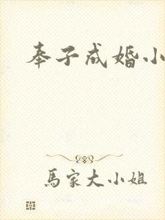 奉子成婚小说