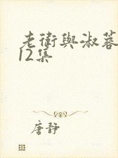 老卫与淑蓉1一12集