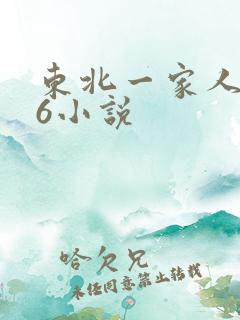 东北一家人1一6小说