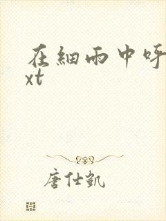 在细雨中呼喊txt