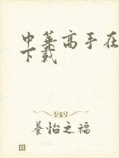 中华高手在异世下载