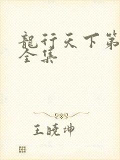 龙行天下第3部全集