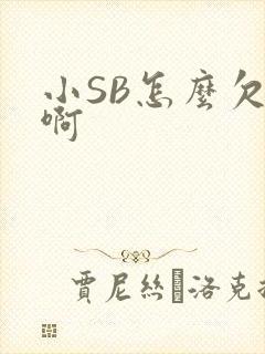 小SB怎么欠C啊