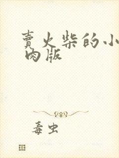 卖火柴的小男孩 肉版