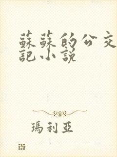 苏苏的公交车日记小说