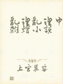 乱理乱理中文大杂烩小说