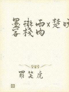 墨微雨x楚晚宁客栈肉