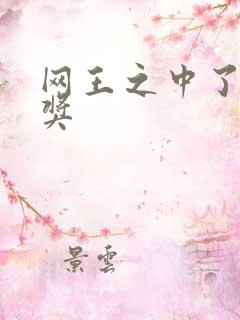 网王之中了特等奖