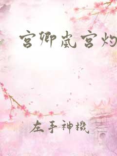 宫卿岚宫灼小说