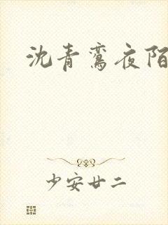 沈青鸾夜陌凌