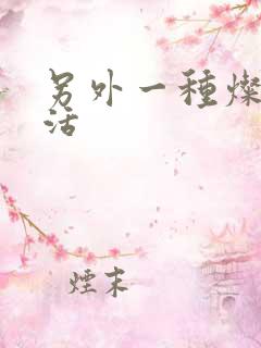 另外一种灿烂生活