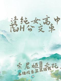 清纯女高中生沦陷H公交车