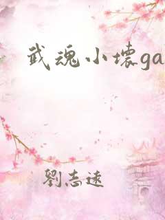 武魂小坏ga
