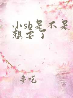 小sb是不是又想要了
