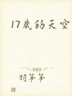 17岁的天空