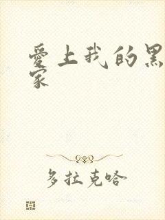 爱上我的黑道冤家