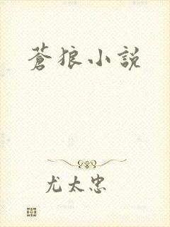 苍狼小说
