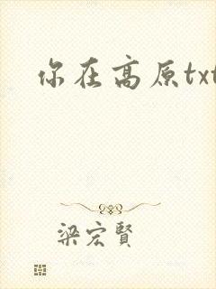 你在高原txt
