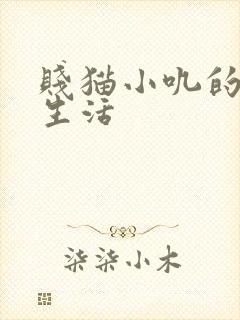 贱猫小叽的幸福生活