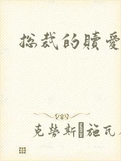 总裁的赎爱宝贝