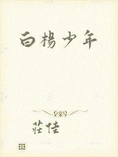 白杨少年