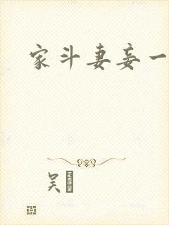 家斗妻妾一家欢
