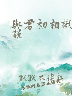 与君初相识 小说