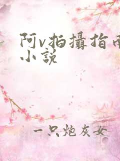 阿v拍摄指南说小说