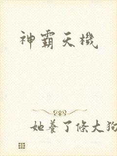 神霸天机