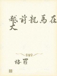 越前龙马在立海大