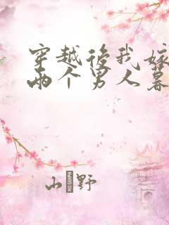 穿越后我嫁给了两个男人暮色酒歌