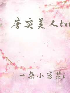 唐突美人txt