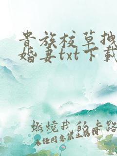 贵族校草拽拽未婚妻txt下载