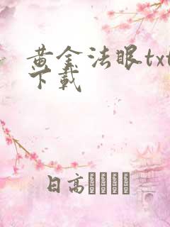 黄金法眼txt下载