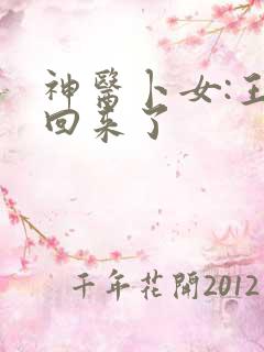 神医卜女:王妃回来了