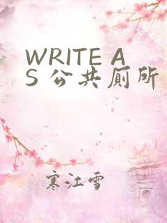 WRITE AS 公共厕所