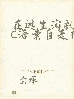 在逃生游戏里挨C海棠自走棋