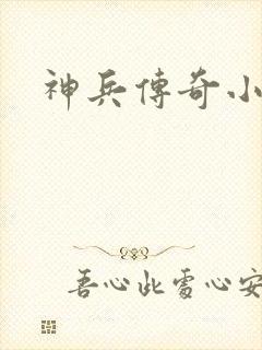 神兵传奇小说