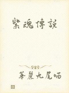 紫魂传说