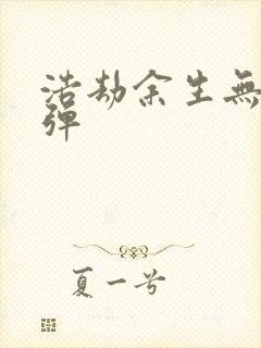 浩劫余生无限子弹