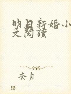 明日新婚小说全文阅读