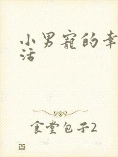 小男宠的幸福生活