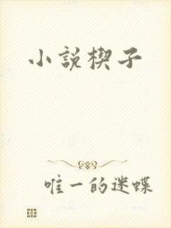 小说楔子