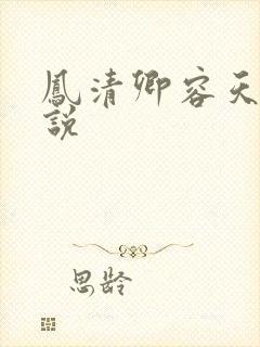 凤清卿容天凌小说