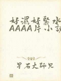 好湿好紧水多AAAAA片小说